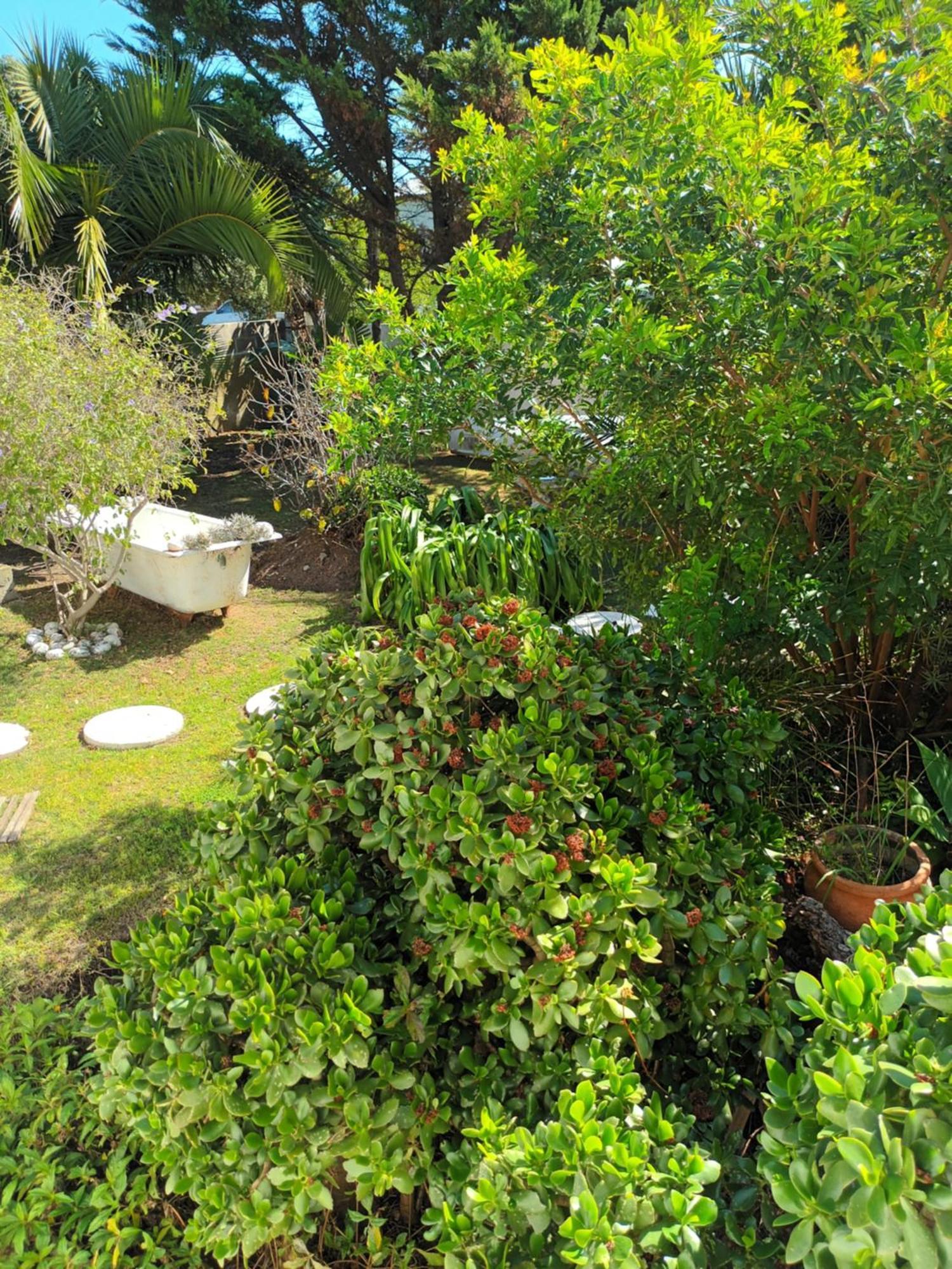 Self Catering Unit 6, Sandbaai Hermanus Cameră foto